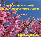 大陆大法弟子恭贺世界法轮大法日暨师尊华诞(189条)