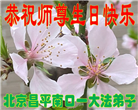 大陆大法弟子恭贺世界法轮大法日暨师尊华诞(25条)