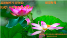 大陆大法弟子恭贺世界法轮大法日暨师尊华诞(25条)