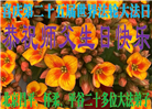 大陆大法弟子恭贺世界法轮大法日暨师尊华诞(25条)