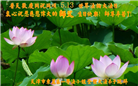 大陆大法弟子恭贺世界法轮大法日暨师尊华诞(25条)