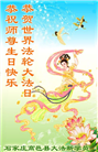 大陆大法弟子恭贺世界法轮大法日暨师尊华诞(25条)