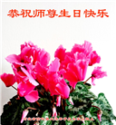 河北大法弟子恭贺世界法轮大法日暨师尊华诞(21条)