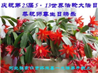 张家口大法弟子恭贺世界法轮大法日暨师尊华诞(18条)