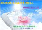 河北大法弟子恭贺世界法轮大法日暨师尊华诞(21条)