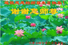 内蒙古大法弟子恭贺世界法轮大法日暨师尊华诞(19条)