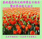 北京大法弟子恭贺世界法轮大法日暨师尊华诞(22条)