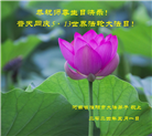 河南大法弟子恭贺世界法轮大法日暨师尊华诞(28条)