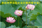 湖北大法弟子恭贺世界法轮大法日暨师尊华诞(21条)