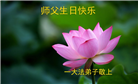 河北大法弟子恭贺世界法轮大法日暨师尊华诞(18条)
