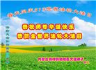内蒙古大法弟子恭贺世界法轮大法日暨师尊华诞(21条)