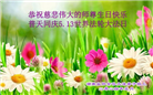 湖南大法弟子恭贺世界法轮大法日暨师尊华诞(25条)