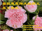 河北大法弟子恭贺世界法轮大法日暨师尊华诞(20条)