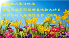 秦皇岛大法弟子恭贺世界法轮大法日暨师尊华诞(19条)