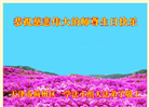 天津大法弟子恭贺世界法轮大法日暨师尊华诞(23条)