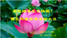 北京大法弟子恭贺世界法轮大法日暨师尊华诞(22条)