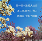 北京大法弟子恭贺世界法轮大法日暨师尊华诞(21条)