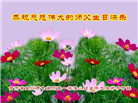 甘肃大法弟子恭贺世界法轮大法日暨师尊华诞(19条)