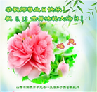 山西大法弟子恭贺世界法轮大法日暨师尊华诞(21条)