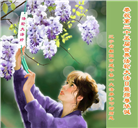 朝阳市大法弟子恭贺世界法轮大法日暨师尊华诞(21条)