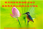 湖北大法弟子恭贺世界法轮大法日暨师尊华诞(20条)