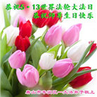 唐山大法弟子恭贺世界法轮大法日暨师尊华诞(28条)