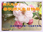 北京大法弟子恭贺世界法轮大法日暨师尊华诞(23条)