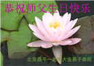 北京大法弟子恭贺世界法轮大法日暨师尊华诞(23条)