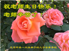 北京大法弟子恭贺世界法轮大法日暨师尊华诞(23条)