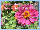 北京大法弟子恭贺世界法轮大法日暨师尊华诞(23条)