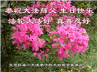 北京大法弟子恭贺世界法轮大法日暨师尊华诞(21条)