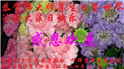 北京大法弟子恭贺世界法轮大法日暨师尊华诞(22条)