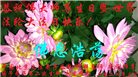 北京大法弟子恭贺世界法轮大法日暨师尊华诞(22条)
