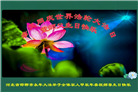 河北大法弟子恭贺世界法轮大法日暨师尊华诞(21条)
