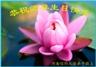河南大法弟子恭贺世界法轮大法日暨师尊华诞(24条)