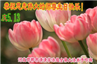 河北大法弟子恭贺世界法轮大法日暨师尊华诞(22条)