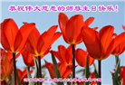河北大法弟子恭贺世界法轮大法日暨师尊华诞(22条)