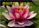石家庄大法弟子恭贺世界法轮大法日暨师尊华诞(22条)