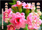 河北大法弟子恭贺世界法轮大法日暨师尊华诞(22条)
