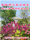 北京大法弟子恭贺世界法轮大法日暨师尊华诞(21条)