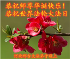 河北大法弟子恭贺世界法轮大法日暨师尊华诞(24条)