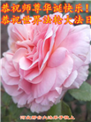 河北大法弟子恭贺世界法轮大法日暨师尊华诞(24条)