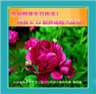 山西大法弟子恭贺世界法轮大法日暨师尊华诞(28条)