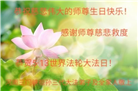 河南大法弟子恭贺世界法轮大法日暨师尊华诞(24条)