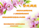 河北大法弟子恭贺世界法轮大法日暨师尊华诞(24条)
