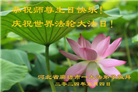 廊坊大法弟子恭贺世界法轮大法日暨师尊华诞(19条)