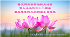 石家庄大法弟子恭贺世界法轮大法日暨师尊华诞(22条)