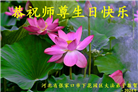 张家口大法弟子恭贺世界法轮大法日暨师尊华诞(29条)