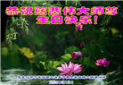 张家口大法弟子恭贺世界法轮大法日暨师尊华诞(22条)