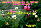 张家口大法弟子恭贺世界法轮大法日暨师尊华诞(22条)